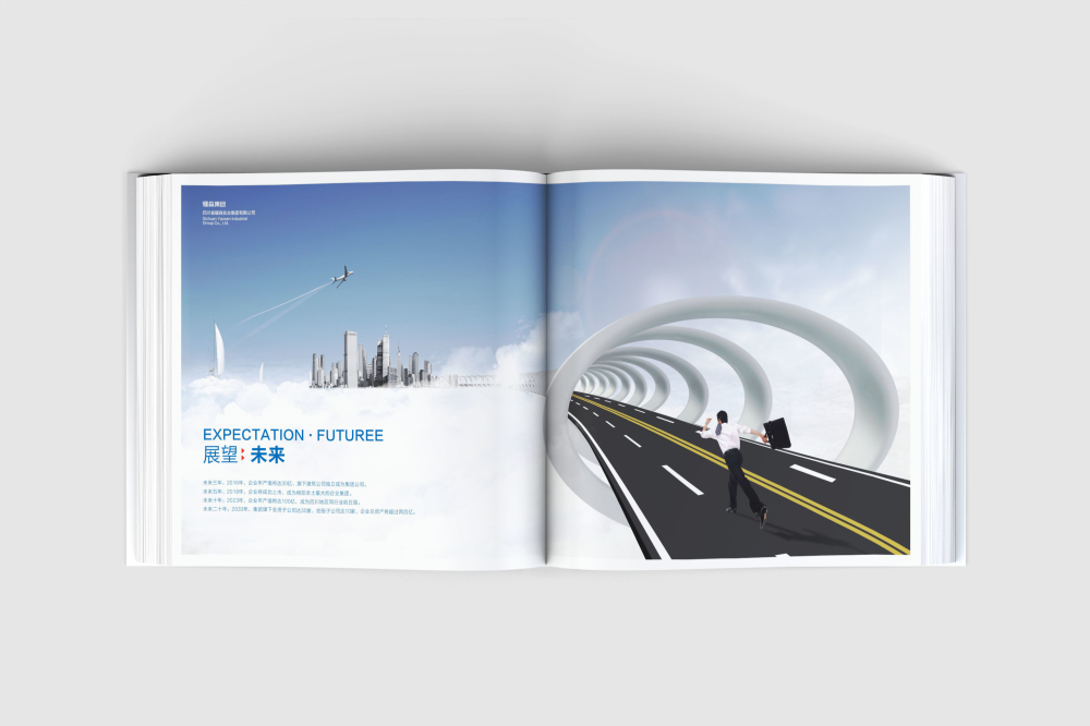 双柏县画册设计